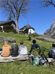 werfen1