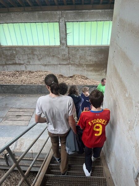 Bild 20251022 121340 1f5c3b8f Bild 20251022 121340 1f5c3b8f