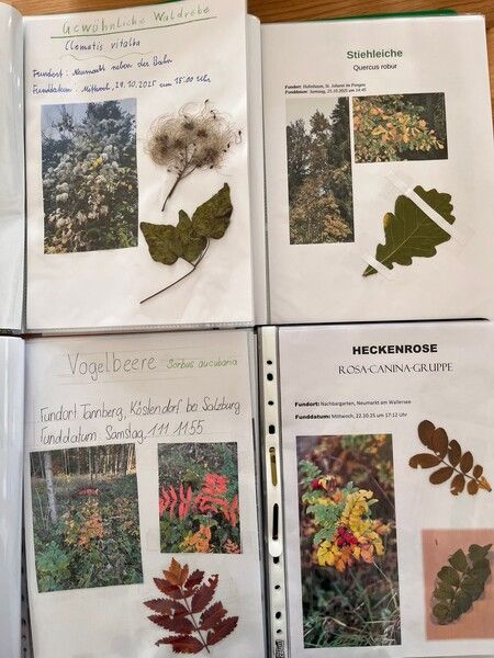 Herbstmappen Foto 2