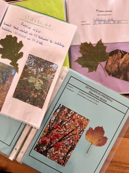 Herbstmappen Foto 3