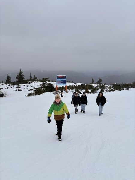 Bild 20251217 092753 96401b0c