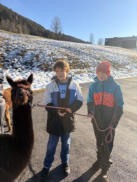 Bild 20251218 130727 Fb9dce31