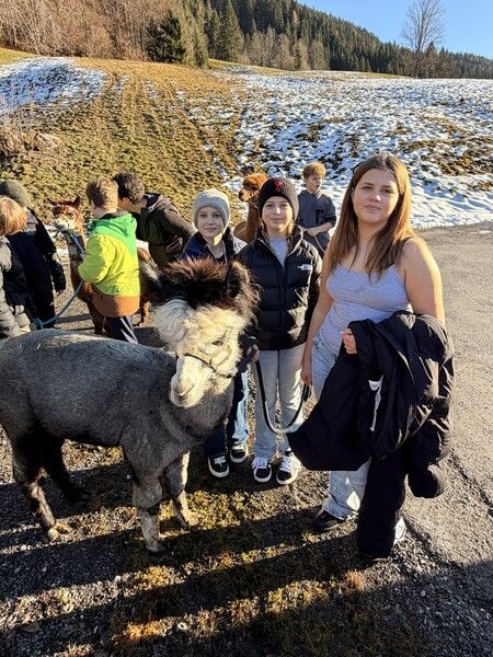 Bild 20251218 131656 B4c23d0b