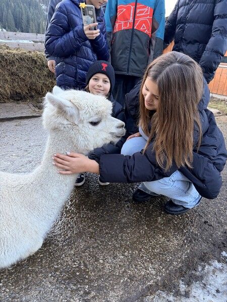 Bild 20251218 134250 Ba8afb8e