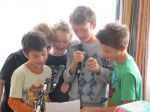 IMG 4067